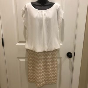 NWT! Sz 10 Karin Stevens white/champagne dress